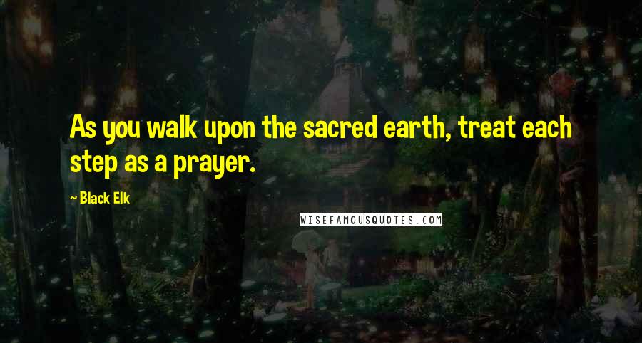 Black Elk Quotes: As you walk upon the sacred earth, treat each step as a prayer.