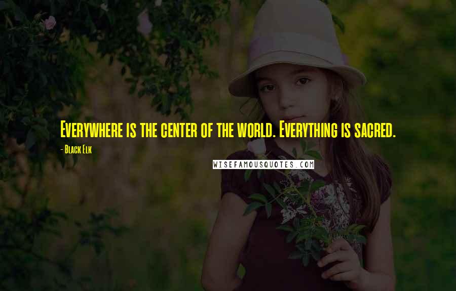 Black Elk Quotes: Everywhere is the center of the world. Everything is sacred.