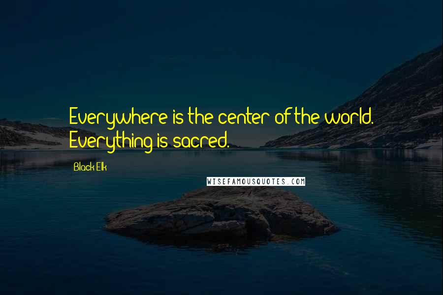 Black Elk Quotes: Everywhere is the center of the world. Everything is sacred.