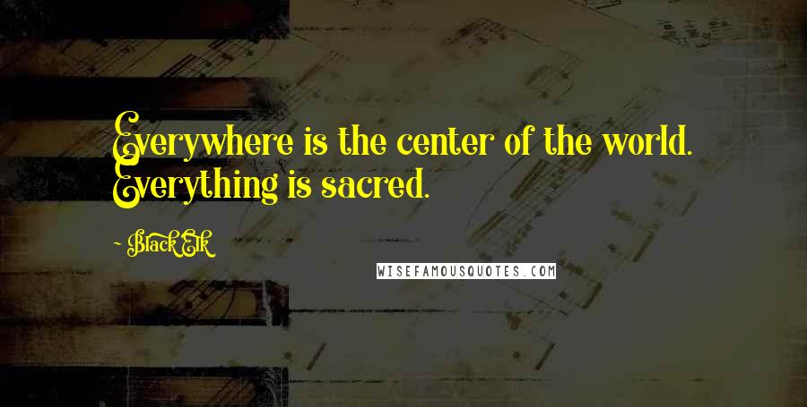 Black Elk Quotes: Everywhere is the center of the world. Everything is sacred.