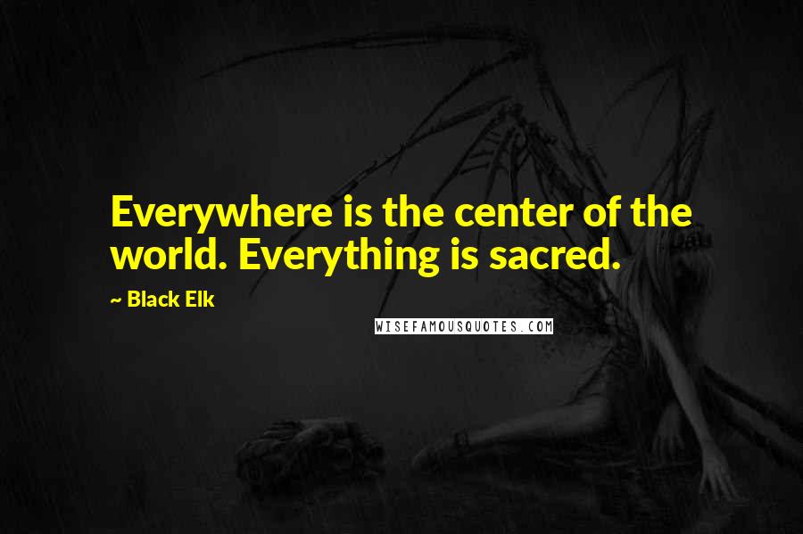 Black Elk Quotes: Everywhere is the center of the world. Everything is sacred.