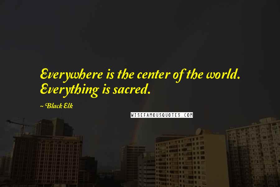 Black Elk Quotes: Everywhere is the center of the world. Everything is sacred.