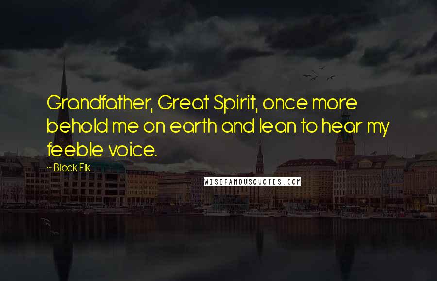 Black Elk Quotes: Grandfather, Great Spirit, once more behold me on earth and lean to hear my feeble voice.