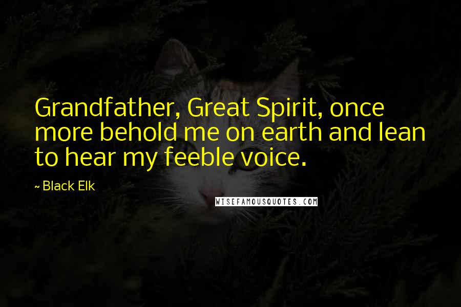 Black Elk Quotes: Grandfather, Great Spirit, once more behold me on earth and lean to hear my feeble voice.