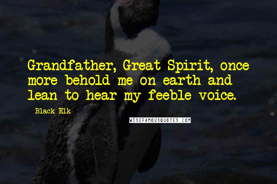 Black Elk Quotes: Grandfather, Great Spirit, once more behold me on earth and lean to hear my feeble voice.