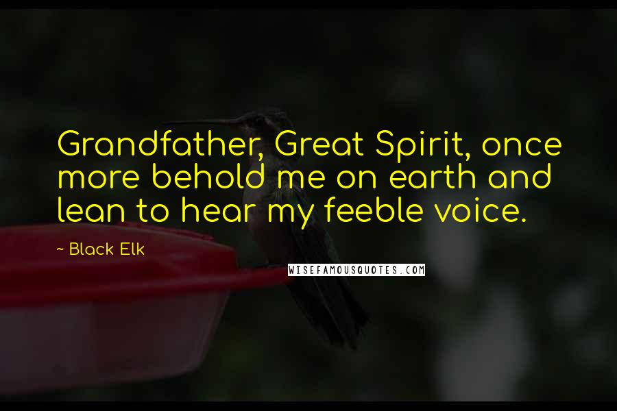 Black Elk Quotes: Grandfather, Great Spirit, once more behold me on earth and lean to hear my feeble voice.