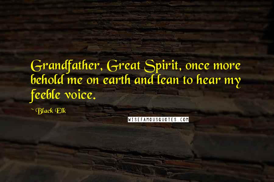 Black Elk Quotes: Grandfather, Great Spirit, once more behold me on earth and lean to hear my feeble voice.