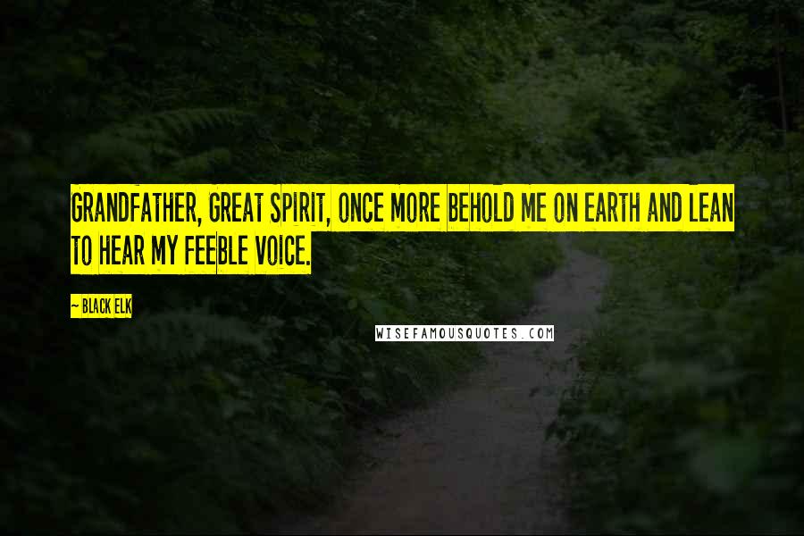 Black Elk Quotes: Grandfather, Great Spirit, once more behold me on earth and lean to hear my feeble voice.