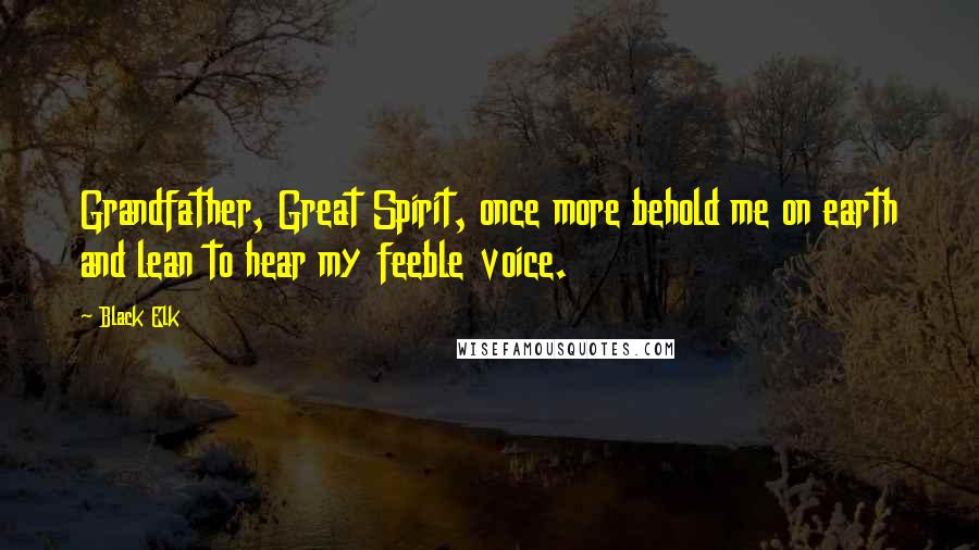 Black Elk Quotes: Grandfather, Great Spirit, once more behold me on earth and lean to hear my feeble voice.