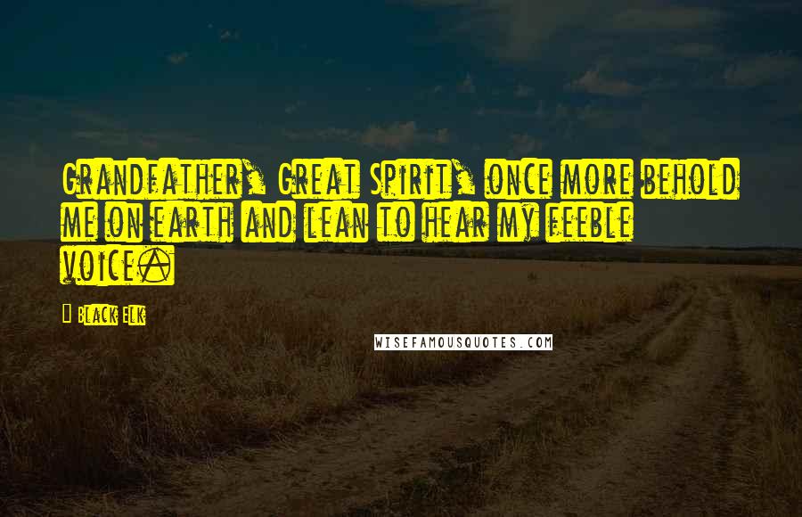 Black Elk Quotes: Grandfather, Great Spirit, once more behold me on earth and lean to hear my feeble voice.