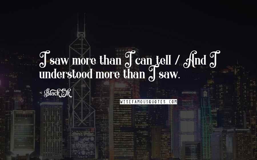 Black Elk Quotes: I saw more than I can tell / And I understood more than I saw.