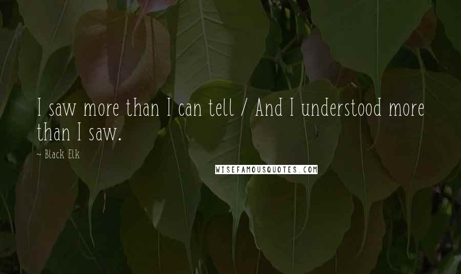 Black Elk Quotes: I saw more than I can tell / And I understood more than I saw.