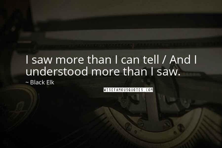 Black Elk Quotes: I saw more than I can tell / And I understood more than I saw.