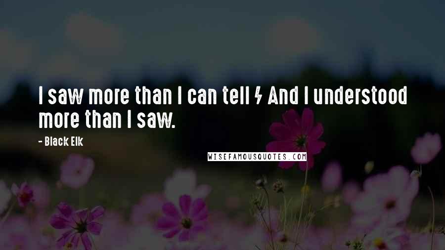 Black Elk Quotes: I saw more than I can tell / And I understood more than I saw.