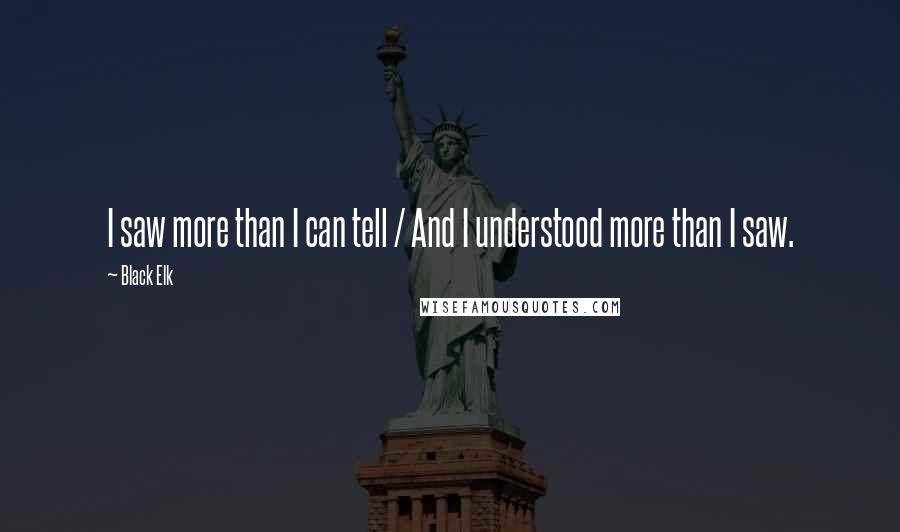 Black Elk Quotes: I saw more than I can tell / And I understood more than I saw.