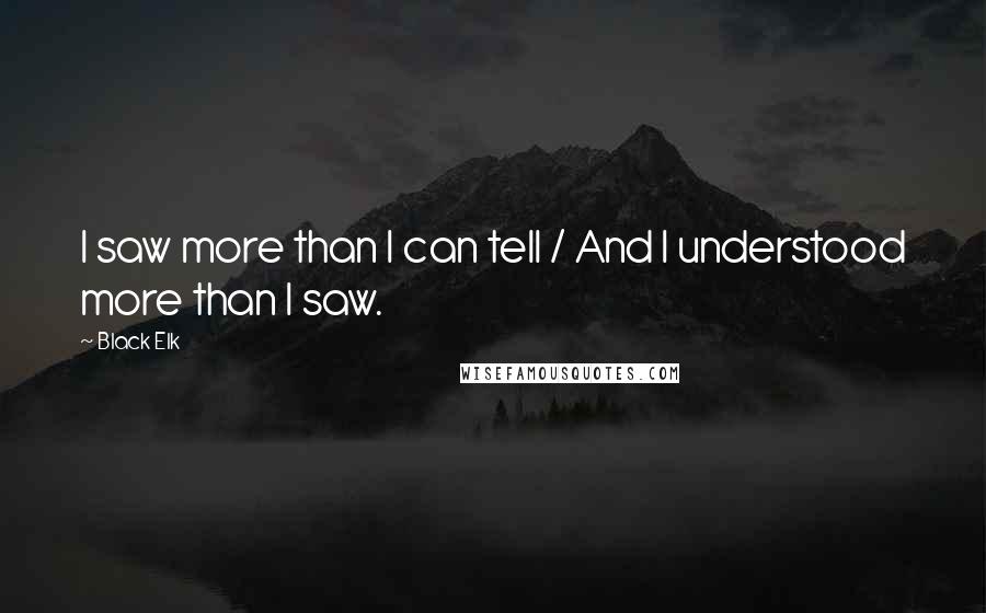 Black Elk Quotes: I saw more than I can tell / And I understood more than I saw.