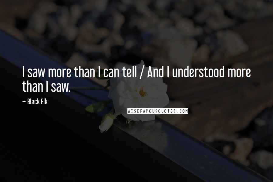 Black Elk Quotes: I saw more than I can tell / And I understood more than I saw.