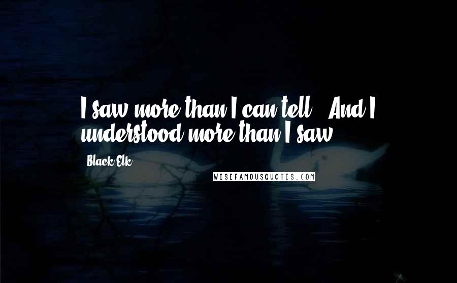 Black Elk Quotes: I saw more than I can tell / And I understood more than I saw.