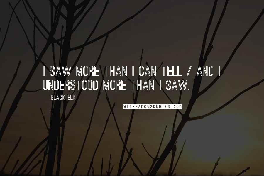 Black Elk Quotes: I saw more than I can tell / And I understood more than I saw.