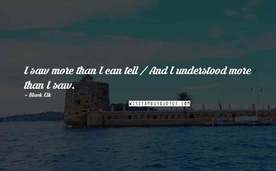 Black Elk Quotes: I saw more than I can tell / And I understood more than I saw.