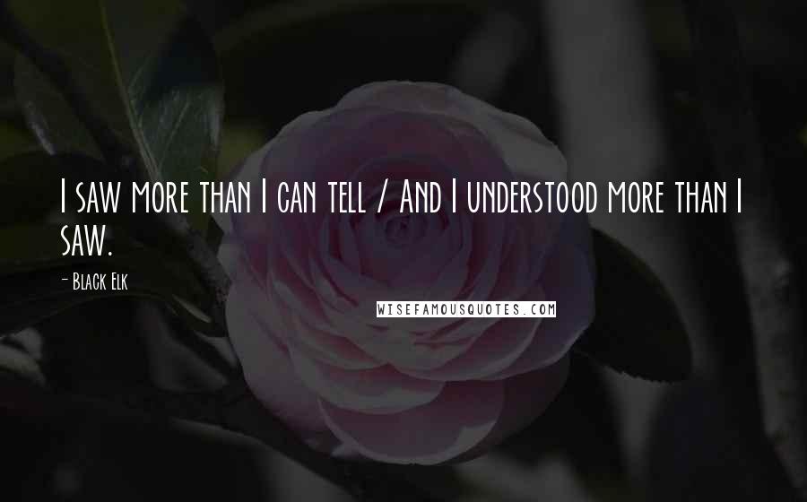 Black Elk Quotes: I saw more than I can tell / And I understood more than I saw.