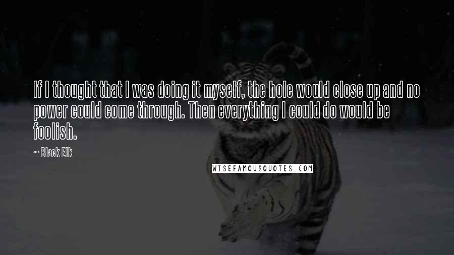 Black Elk Quotes: If I thought that I was doing it myself, the hole would close up and no power could come through. Then everything I could do would be foolish.