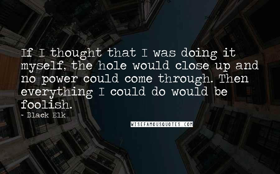 Black Elk Quotes: If I thought that I was doing it myself, the hole would close up and no power could come through. Then everything I could do would be foolish.