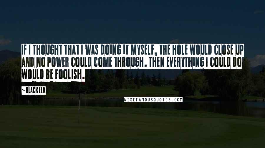 Black Elk Quotes: If I thought that I was doing it myself, the hole would close up and no power could come through. Then everything I could do would be foolish.