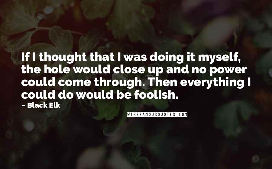 Black Elk Quotes: If I thought that I was doing it myself, the hole would close up and no power could come through. Then everything I could do would be foolish.