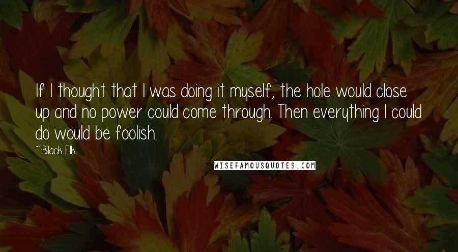 Black Elk Quotes: If I thought that I was doing it myself, the hole would close up and no power could come through. Then everything I could do would be foolish.