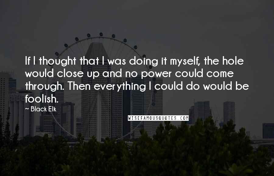 Black Elk Quotes: If I thought that I was doing it myself, the hole would close up and no power could come through. Then everything I could do would be foolish.