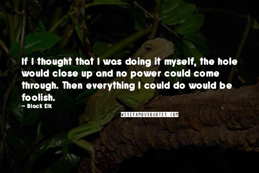 Black Elk Quotes: If I thought that I was doing it myself, the hole would close up and no power could come through. Then everything I could do would be foolish.