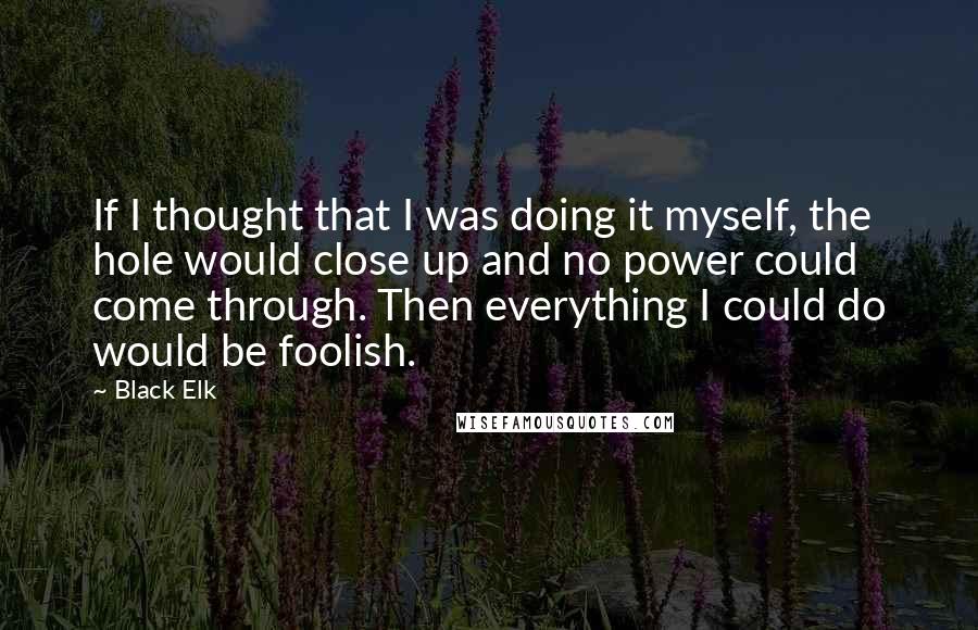 Black Elk Quotes: If I thought that I was doing it myself, the hole would close up and no power could come through. Then everything I could do would be foolish.