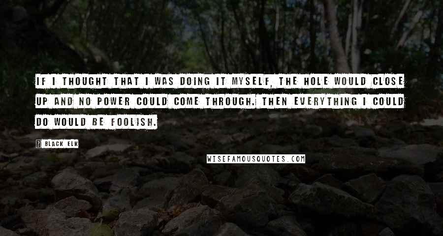 Black Elk Quotes: If I thought that I was doing it myself, the hole would close up and no power could come through. Then everything I could do would be foolish.