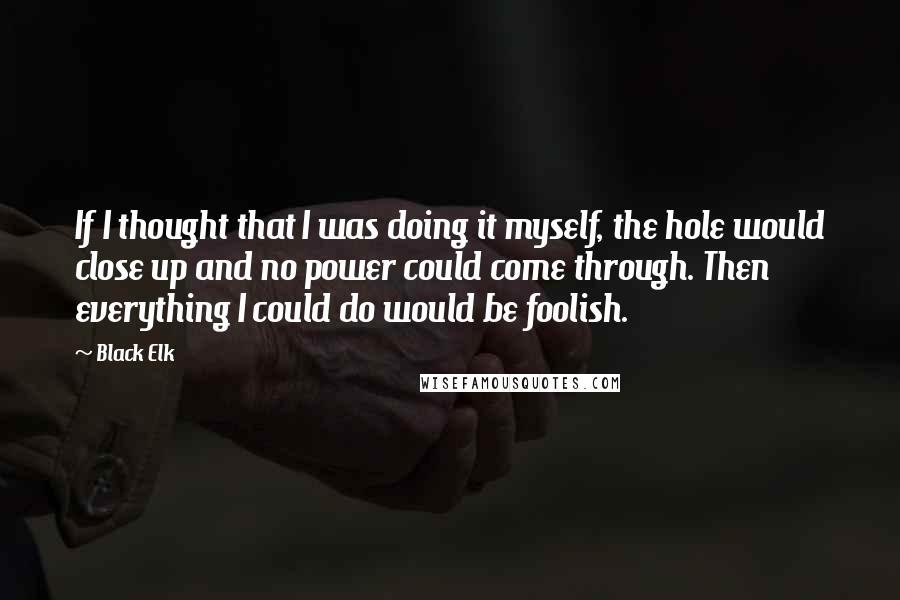 Black Elk Quotes: If I thought that I was doing it myself, the hole would close up and no power could come through. Then everything I could do would be foolish.