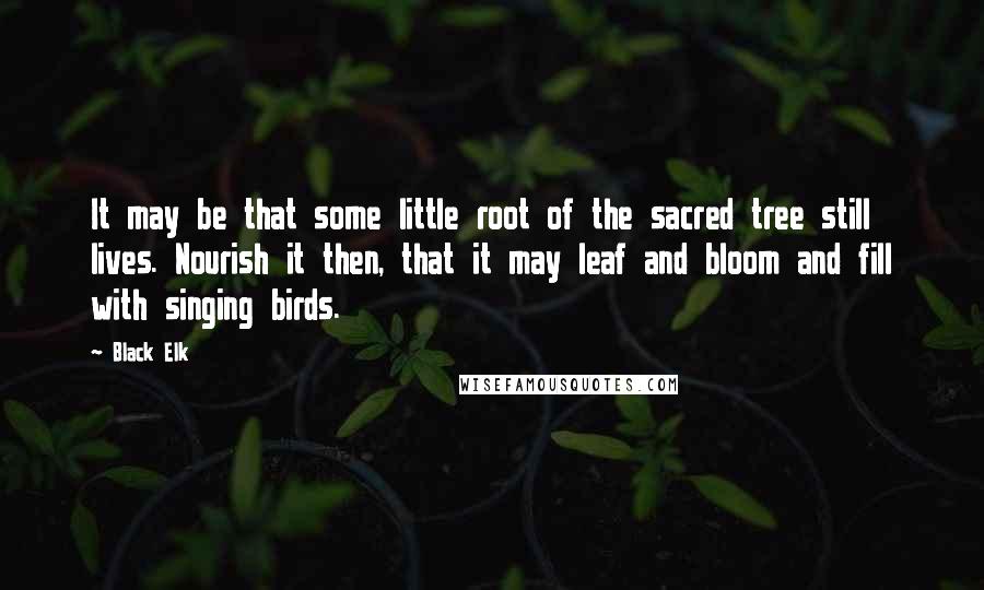 Black Elk Quotes: It may be that some little root of the sacred tree still lives. Nourish it then, that it may leaf and bloom and fill with singing birds.