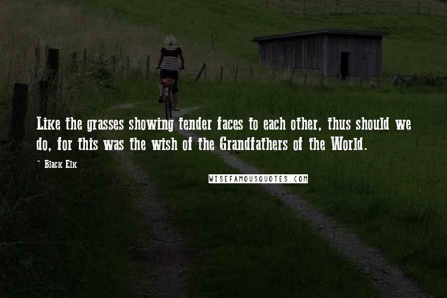 Black Elk Quotes: Like the grasses showing tender faces to each other, thus should we do, for this was the wish of the Grandfathers of the World.