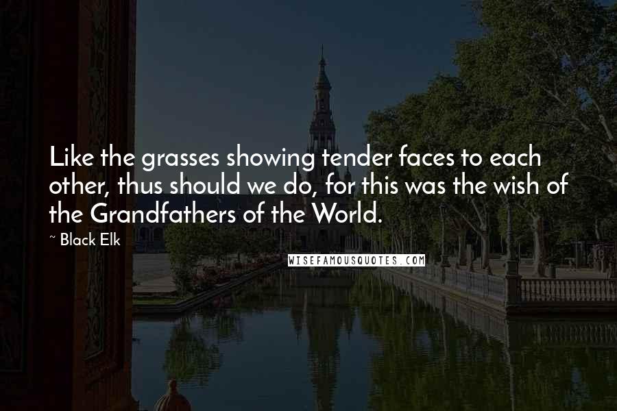 Black Elk Quotes: Like the grasses showing tender faces to each other, thus should we do, for this was the wish of the Grandfathers of the World.