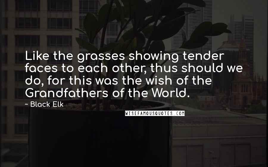 Black Elk Quotes: Like the grasses showing tender faces to each other, thus should we do, for this was the wish of the Grandfathers of the World.