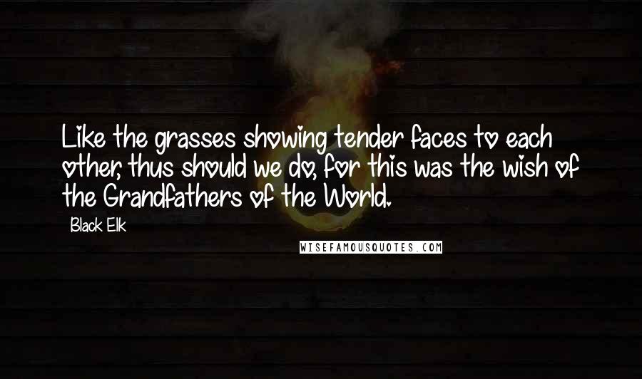 Black Elk Quotes: Like the grasses showing tender faces to each other, thus should we do, for this was the wish of the Grandfathers of the World.