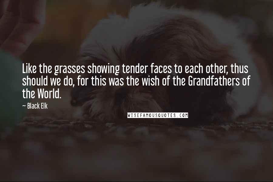 Black Elk Quotes: Like the grasses showing tender faces to each other, thus should we do, for this was the wish of the Grandfathers of the World.