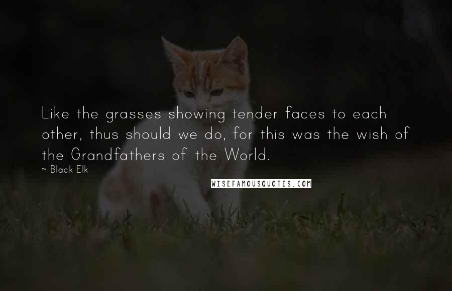 Black Elk Quotes: Like the grasses showing tender faces to each other, thus should we do, for this was the wish of the Grandfathers of the World.