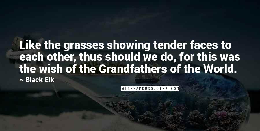 Black Elk Quotes: Like the grasses showing tender faces to each other, thus should we do, for this was the wish of the Grandfathers of the World.