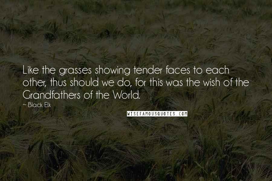 Black Elk Quotes: Like the grasses showing tender faces to each other, thus should we do, for this was the wish of the Grandfathers of the World.