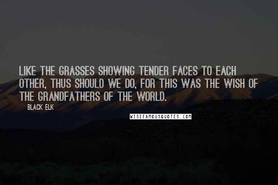 Black Elk Quotes: Like the grasses showing tender faces to each other, thus should we do, for this was the wish of the Grandfathers of the World.