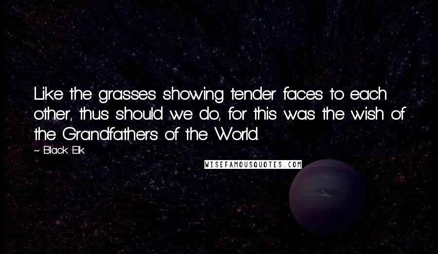 Black Elk Quotes: Like the grasses showing tender faces to each other, thus should we do, for this was the wish of the Grandfathers of the World.