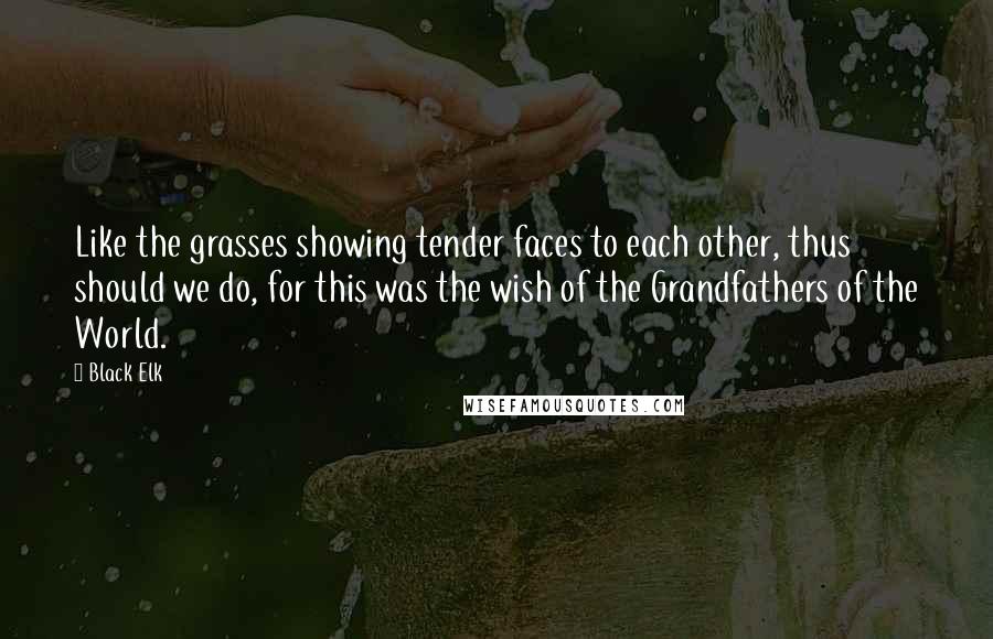 Black Elk Quotes: Like the grasses showing tender faces to each other, thus should we do, for this was the wish of the Grandfathers of the World.