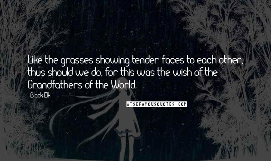 Black Elk Quotes: Like the grasses showing tender faces to each other, thus should we do, for this was the wish of the Grandfathers of the World.