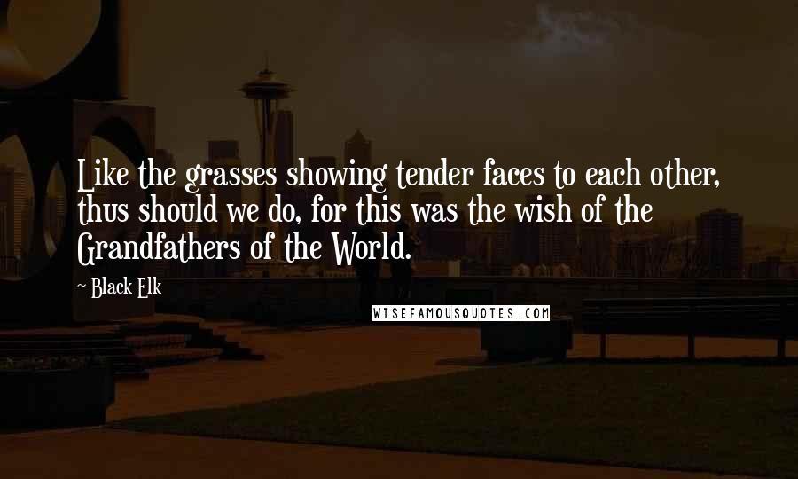 Black Elk Quotes: Like the grasses showing tender faces to each other, thus should we do, for this was the wish of the Grandfathers of the World.