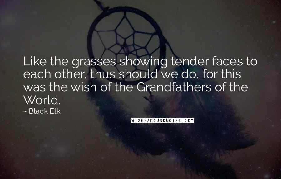 Black Elk Quotes: Like the grasses showing tender faces to each other, thus should we do, for this was the wish of the Grandfathers of the World.